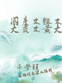 国产又粗又猛又大爽又黄大爷