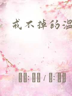戒不掉的温柔