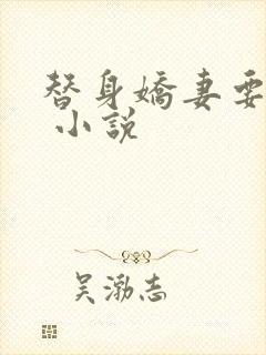 替身娇妻要离婚 小说