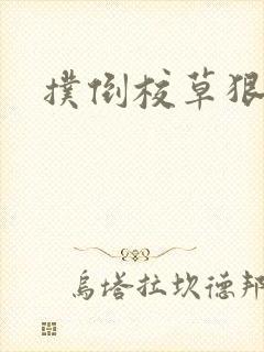 扑倒校草狠狠亲