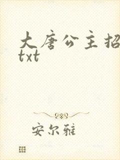 大唐公主招亲记txt