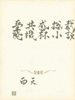 受共感总裁攻的飞机杯小说叫什么