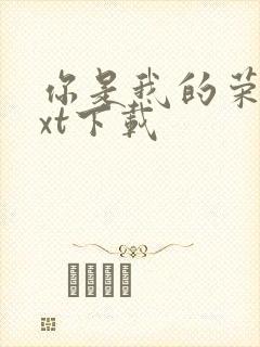 你是我的荣耀txt下载