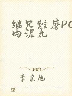 继兄难磨PO猪肉泥丸