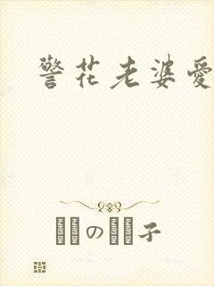 警花老婆爱上我