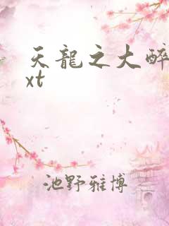 天龙之大醉侠txt