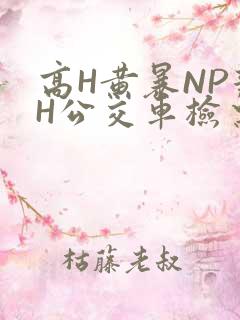 高H黄暴NP辣H公交车检票员