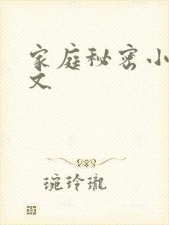 家庭秘密小说全文