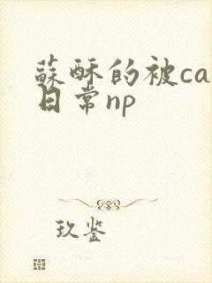 苏酥的被cao日常np