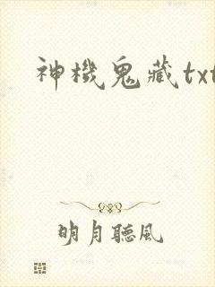 神机鬼藏txt