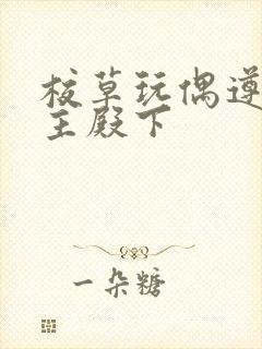 校草玩偶遵命公主殿下