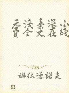 元浅秦深小说免费全文在线