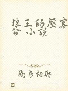 狼王的压寨小相公 小说