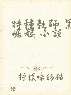 特种教师 黑暗崛起 小说