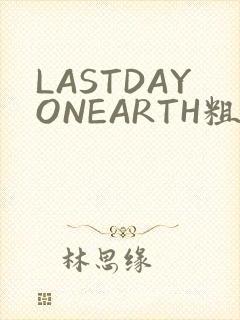 LASTDAYONEARTH粗暴
