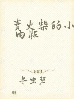 卖火柴的小男孩 肉版