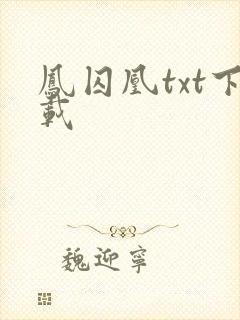 凤囚凰txt下载