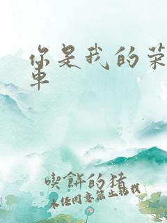 你是我的荣耀肉车