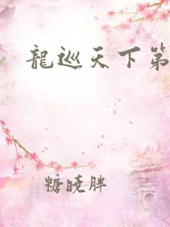 龙巡天下第四部