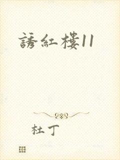诱红楼11
