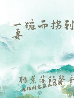 一碗面拐到美艳妻