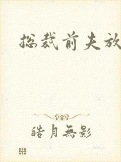 总裁前夫放了我