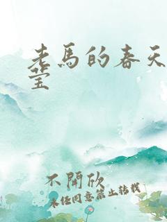 老马的春天王雪莹