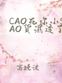 CAO死你小SAO货湿透了学长