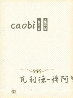 caobiС˵