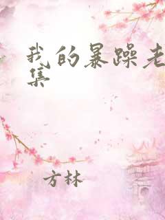 我的暴躁老妈全集