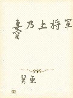 妻乃上将军无弹窗