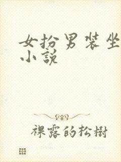 女扮男装坐江山小说