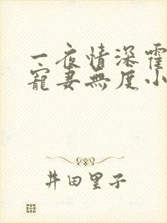 一夜情深霍先生宠妻无度小说免费阅读