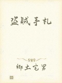 盗贼手札