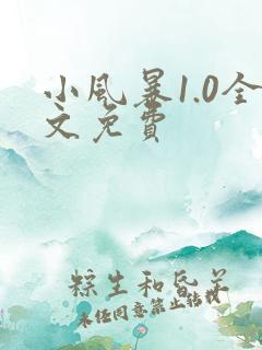 小风暴1.0全文免费