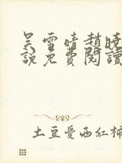 吴雪晴赵晓东小说免费阅读