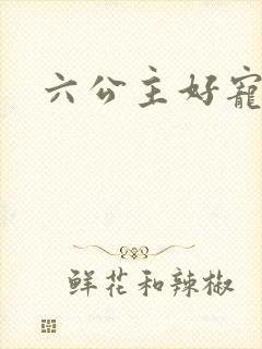 六公主好宠