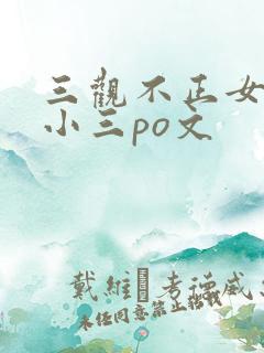 三观不正女主是小三po文