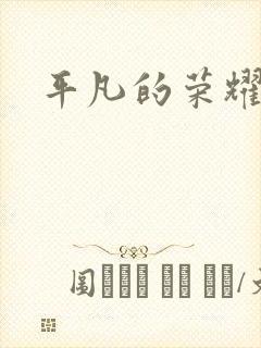 平凡的荣耀小说