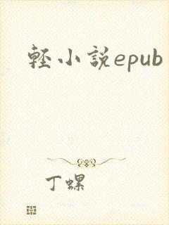 轻小说epub