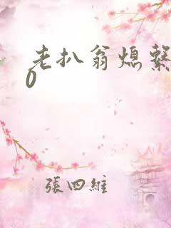 老扒翁熄系列40