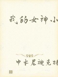 我的女神小说