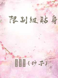 限制级贴身高手