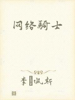 网络骑士