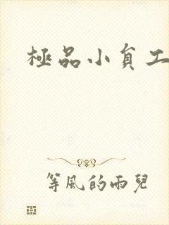 极品小员工