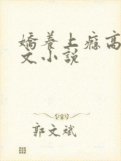 娇养上瘾高H爽文小说