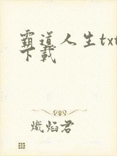 霸道人生txt下载