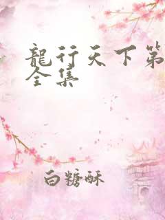 龙行天下第二部全集