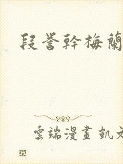 段誉干梅兰竹菊