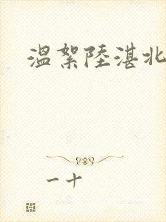 温絮陆湛北